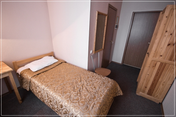 Hotel Lebyedushka on Engelsa prosp.